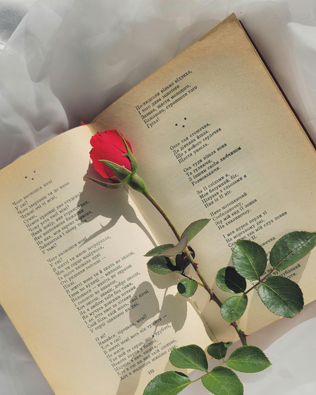 Puisi Romantis: Ungkapan Cinta Lewat Kata